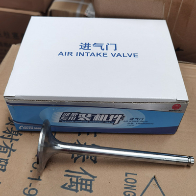 Sinotruk Howoのトラックの予備品の取入口弁612600050073