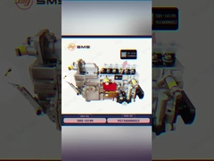 VG1560080023 燃料注入ポンプ HOWO トラック部品 WD615.69/47